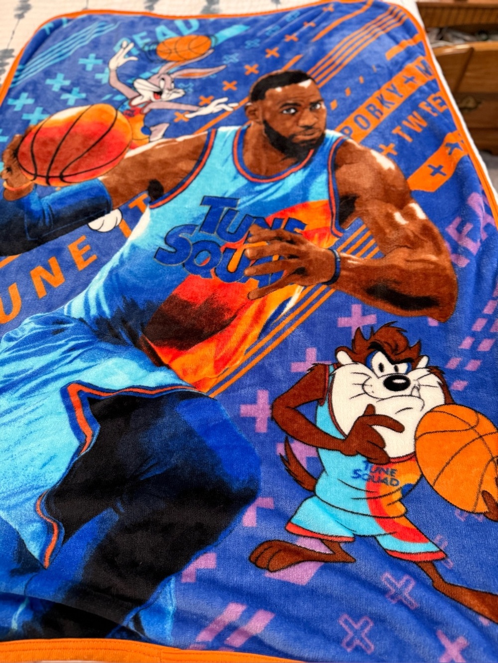 Space Jam: A New Legacy LeBron James & Tune Squad Fleece Blanket.